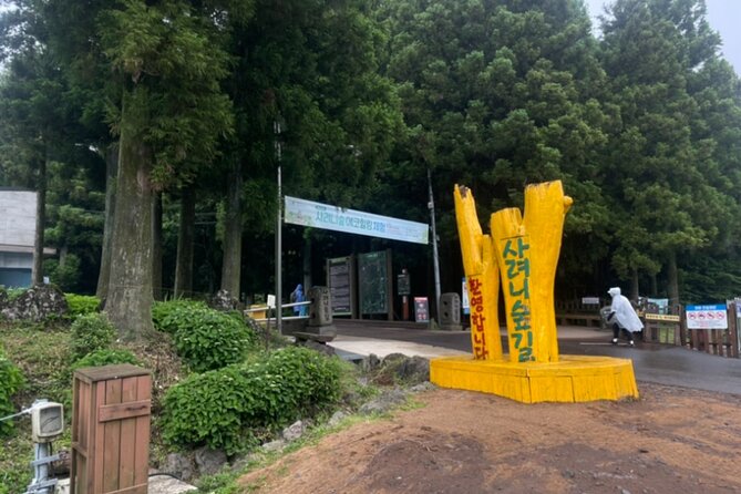 Jeju Island UNESCO Heritage Bus Tour - Who should book this Jeju tour?
