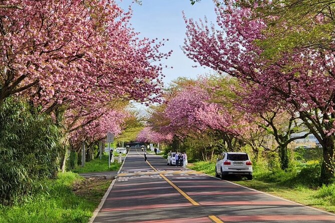 Jeju Island UNESCO small group Join tour(Taxi, van & bus) - What the $56 price really covers