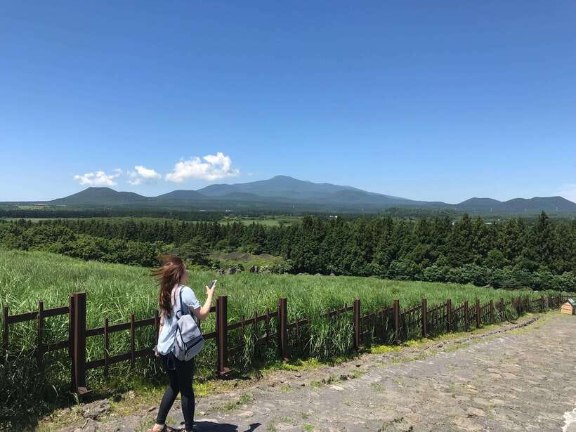 Jeju Island: Van Tour with a Guide Who Most Loves Jeju - Seopjikoji offers a short coastal walk