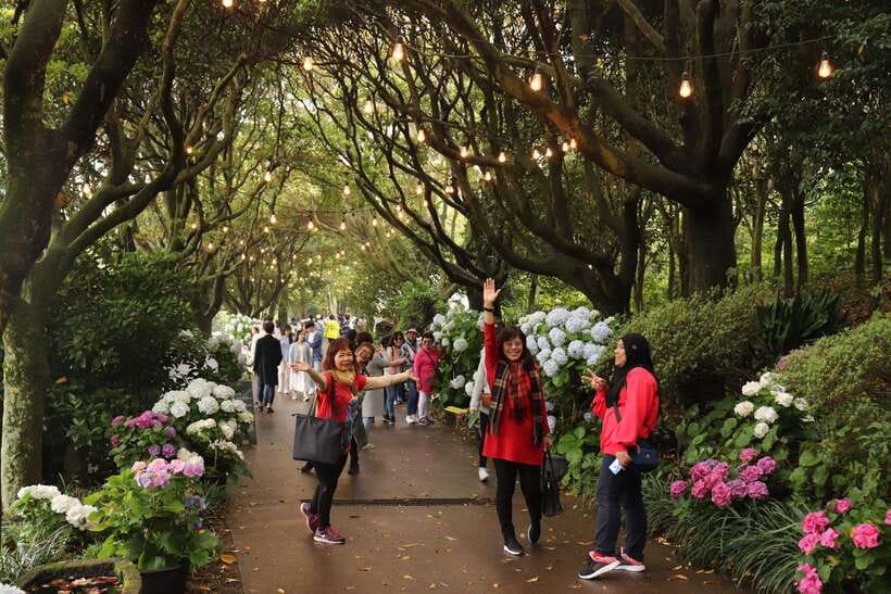 Jeju Island: Van Tour with a Guide Who Most Loves Jeju - Fabio’s guiding style is the main value