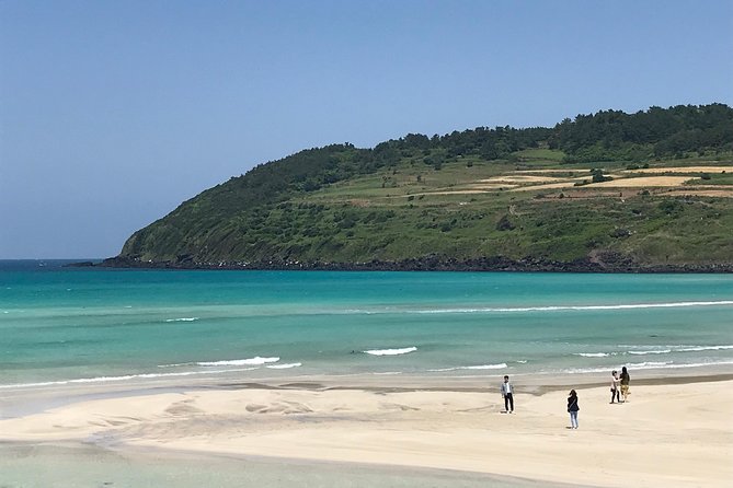 Jeju island: Van tour with a guide who the most loves JEJU - Seongsan Ilchulbong is the day’s main natural sight