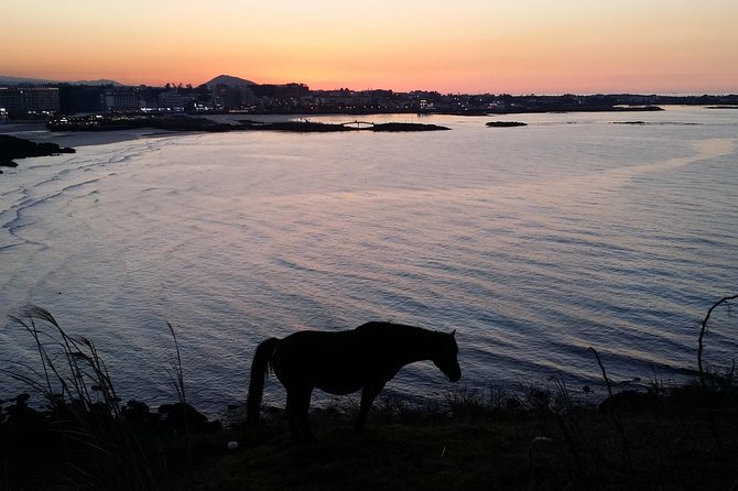 Jeju island: Van tour with a guide who the most loves JEJU - Food and coffee are part of the local feel