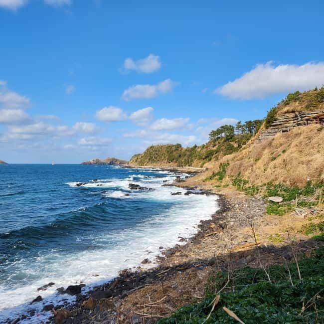 Jeju: Popular Sightseeing Private Car Charter Tour - Choosing the right side of Jeju
