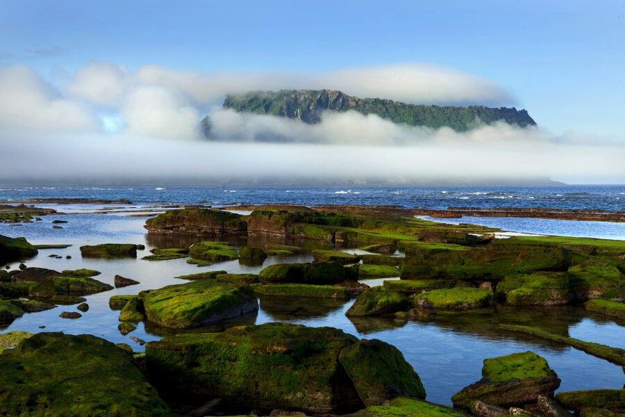 Jeju Premium Small Group UNESCO Day Tour - East - A Jeju lunch with black pork and mackerel