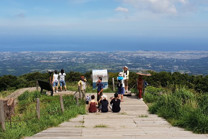 Jeju Premium Small Group UNESCO Day Tour - South Course - Key points to know before booking