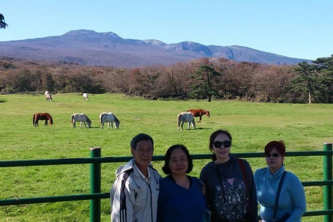 Jeju Private Full day tour of UNESCO Day Tour - Jeju Stone Park and the Manjanggul Cave substitution