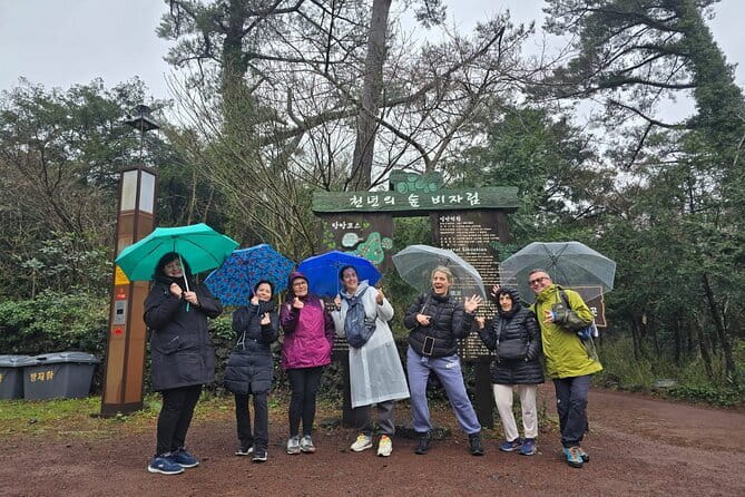 Jeju Private Half-Day Tour for Cruise Customers - Key points to know before you book