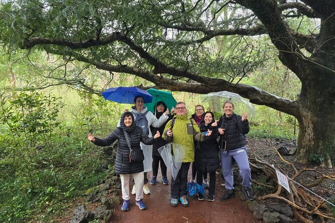 Jeju Private Half-Day Tour for Cruise Customers - Why this private Jeju tour works for cruise schedules