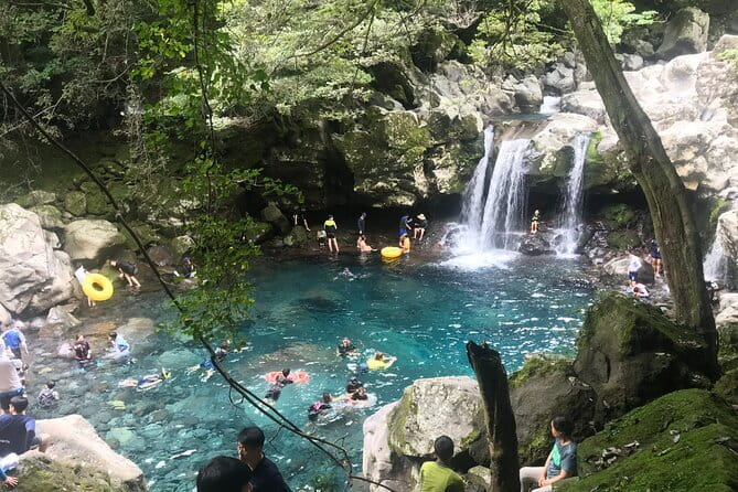 Jeju Private Half-Day Tour for Cruise Customers - What the drivers add to the day