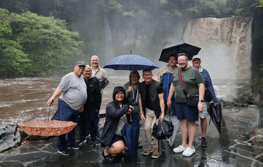 Jeju Private Taxi Tour with a Licenced English Guide-Driver - South and west: cliffs, waterfalls, tea, and cafes