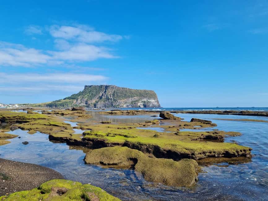 Jeju Private Taxi Tour with a Licenced English Guide-Driver - Should you book it?