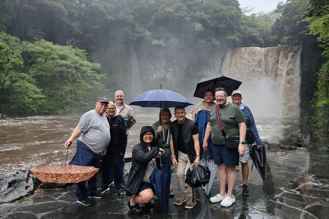 Jeju Private Taxi Tour with a Licensed English Guide-Driver - Day two: waterfalls, cliffs, tea, and the west coast