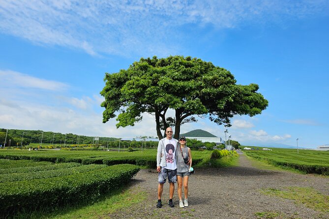 Jeju Private Tour Package-South of Jeju(Mt.Hallasan & Waterfalls) - Walking out to Oedolgae