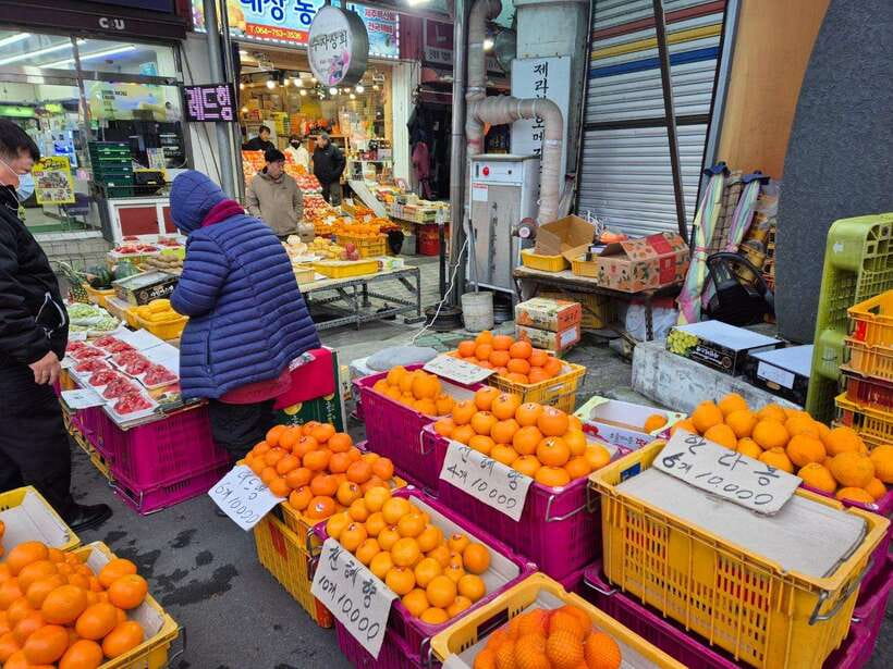 Jeju: Private Tour with an English Guide and a Vehicle - Where the tour can fall short