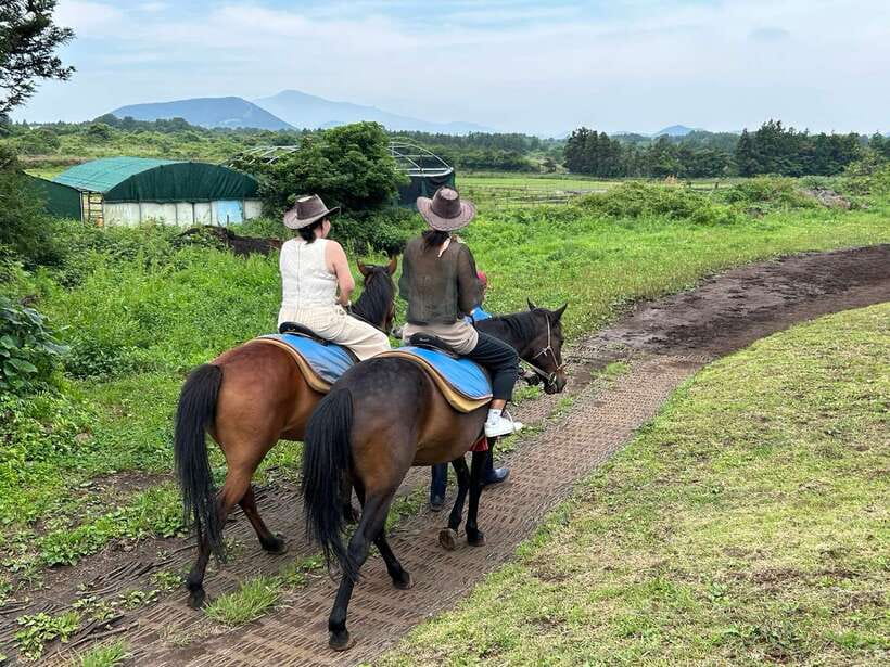 Jeju: Private Tour with an English Guide and a Vehicle - Practical planning before you book
