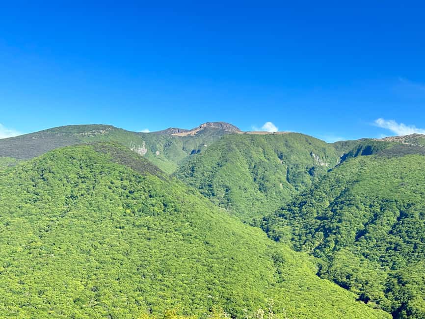 Jeju South: Small Group Healing Tour w/Mt.Halla & Olle Trail - What the $105 price really buys you