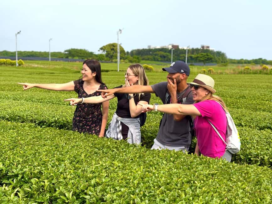 Jeju South: Small Group Healing Tour w/Mt.Halla & Olle Trail - Starting with Hallasan and the short mountain walk