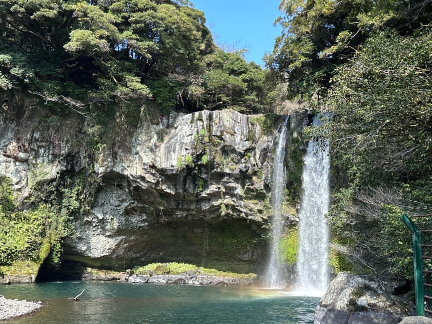 Jeju South: Small Group Healing Tour w/Mt.Halla & Olle Trail - Lunch with local advice, not a packaged meal
