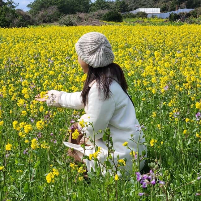 Jeju: Southern Top UNESCO Spots Bus Tour - Lunch is useful, local, and extra