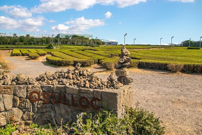 Jeju Southern UNESCO Full Day Tour with Mt.Halla - Jusangjeolli Cliff and Jeju’s volcanic geometry