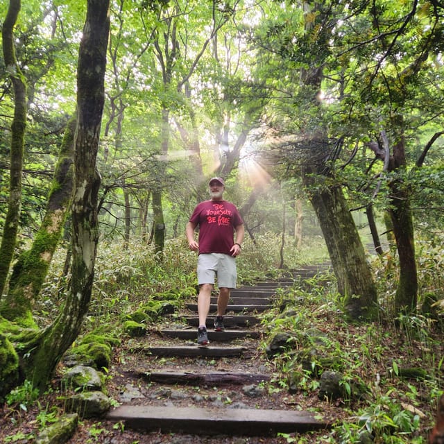 Jeju: Southern UNESCO Geopark Day Tour - Who will get the most from this tour