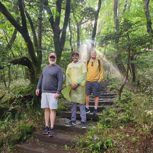 Jeju: Southern UNESCO Geopark Day Tour - Cheonjeyeon Waterfall and the Seonimgyo Bridge