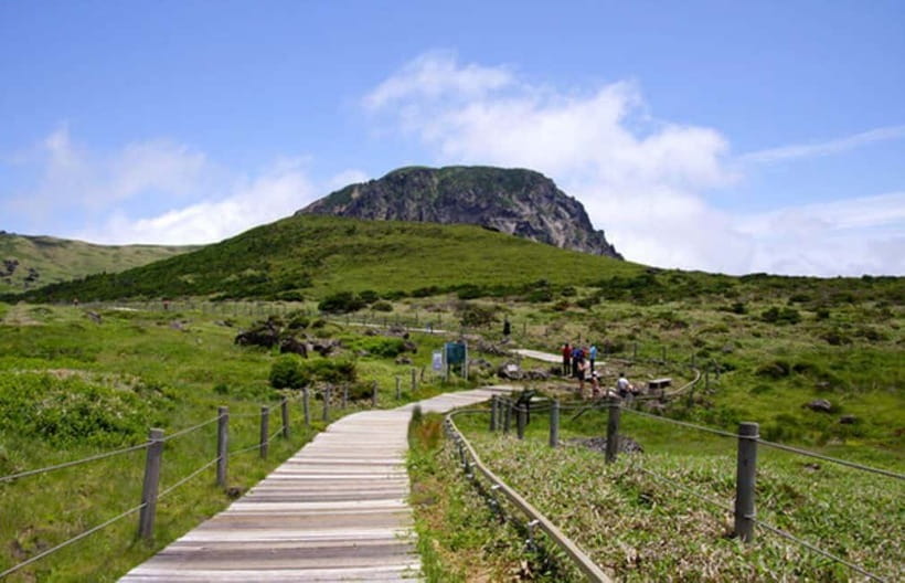 Jeju: UNESCO Day Tour for Cruise Guests - Hallasan National Park and the 1100 wetland
