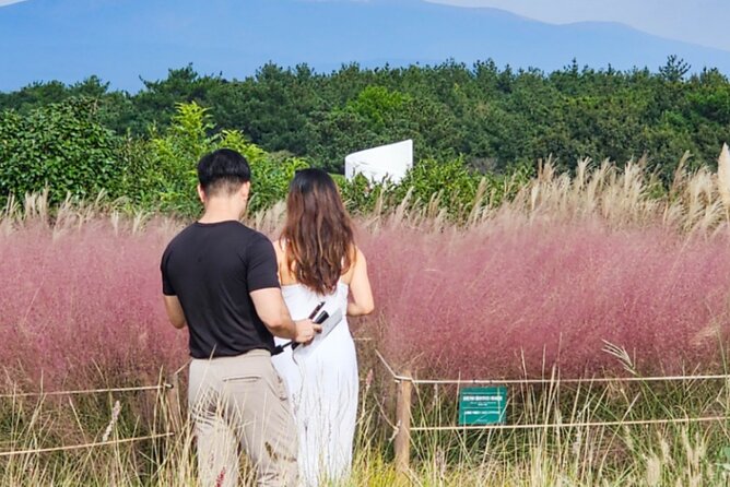 Jeju: UNESCO-Listed Southern Authentic Day Tour - Key points at a glance