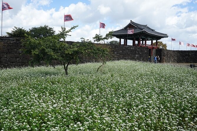Jeju: UNESCO-Listed Southern Authentic Day Tour - Jeongbang Waterfall and the sea