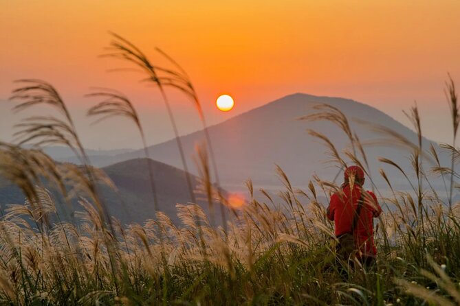 Jeju: UNESCO-Listed Southern Authentic Day Tour - Hueree Natural Life Park for a quiet finish