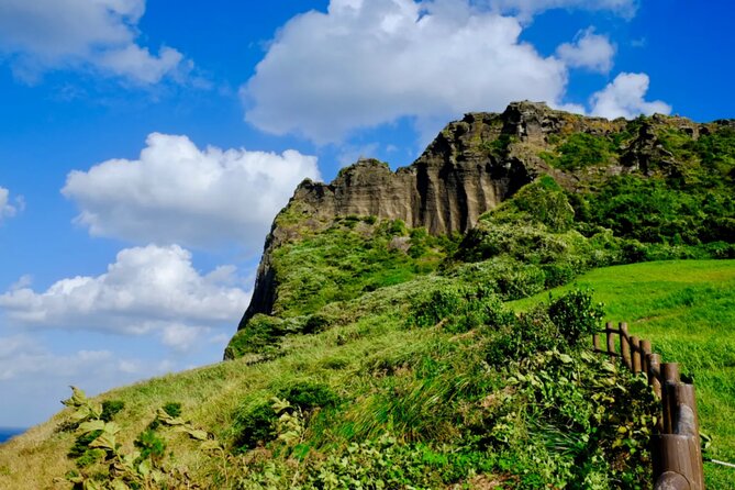 Jeju: UNESCO-Listed Southern Authentic Day Tour - Finishing at Dongmun Traditional Market