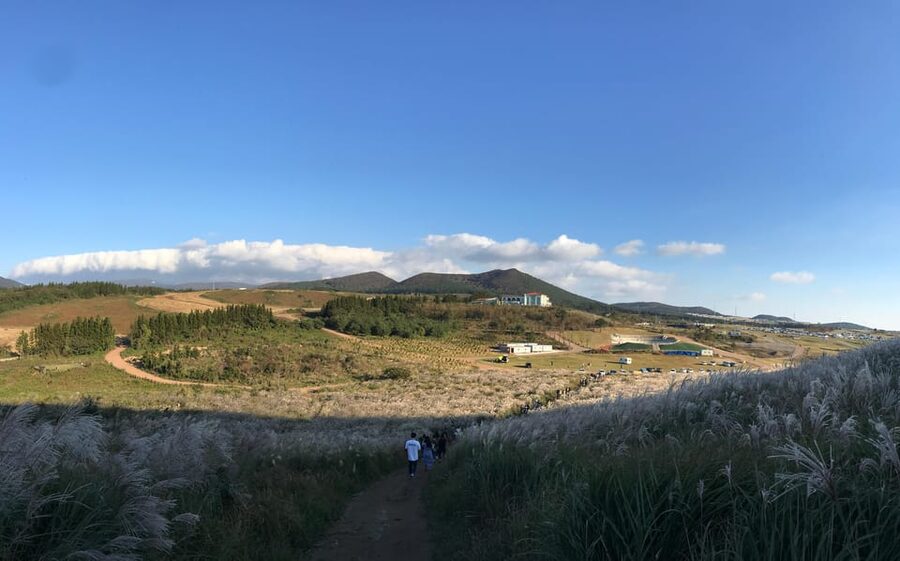 Jeju: West of Jeju Island Bus Tour from Seogwipo City - Aewol Cafe Street and the Handam coast