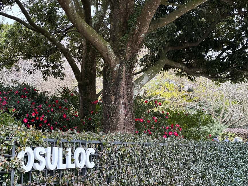 Jeju West: Small Group Healing Tour w/Caves & Dolphins - Hallim Park, gardens, and two lava tubes