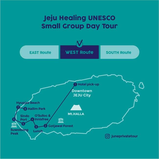 Jeju West: Small Group Healing Tour w/Caves & Dolphins - Gotjawal Provincial Park and Jeju’s lava forest