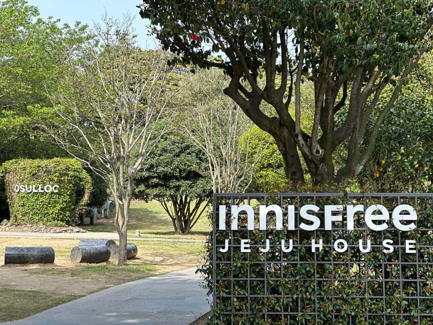 Jeju West: Small Group Healing Tour w/Caves & Dolphins - Looking for dolphins at Conch Park