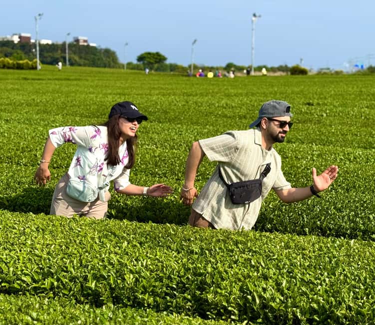 Jeju West: Small Group Healing Tour w/Caves & Dolphins - Suwolbong and some of Jeju’s finest volcanic geology