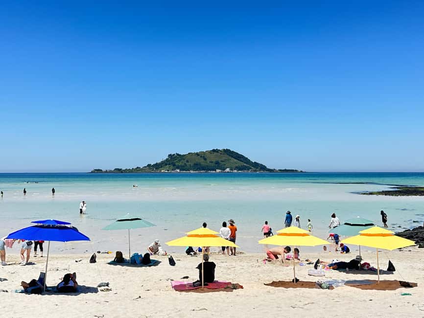Jeju West: Small Group Healing Tour w/Caves & Dolphins - Starting in Jeju City with a small group