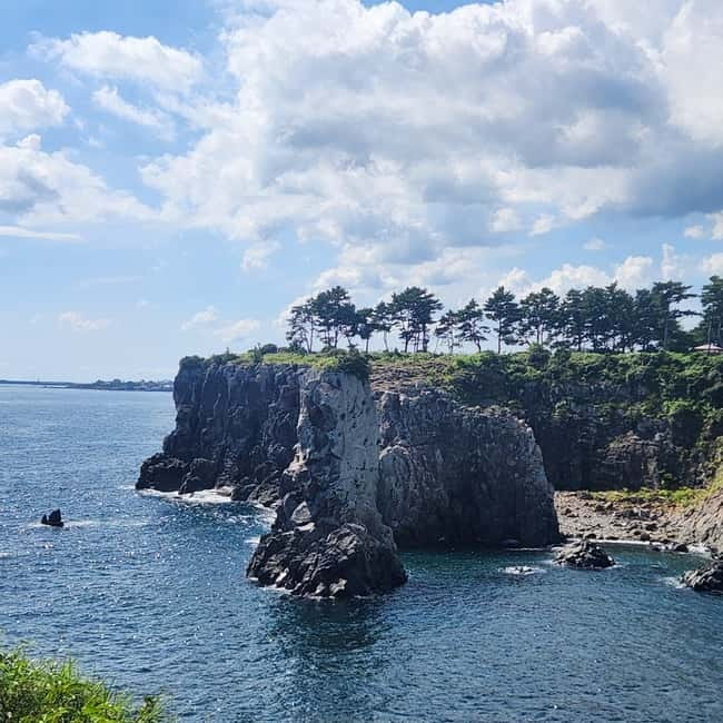 Jeju: West & South Full-Day Authentic Tour - O’sulloc Tea Museum and the green fields