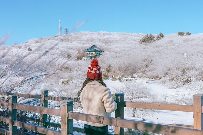 Jeju WEST&SOUTH One Day Tour with MT.halla & UNESCO - Hallasan’s 1,100-meter wetland