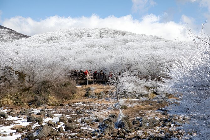 Jeju WEST&SOUTH One Day Tour with MT.halla & UNESCO - Jeongbang Waterfall meets the ocean