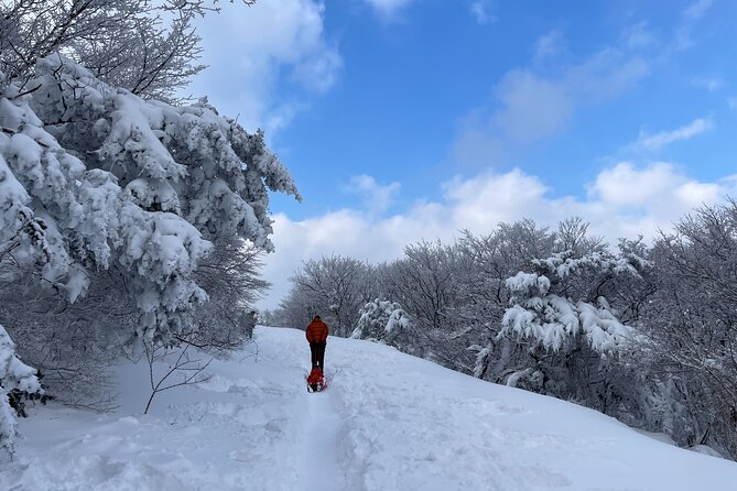 Jeju WEST&SOUTH One Day Tour with MT.halla & UNESCO - What the $56.56 price really covers