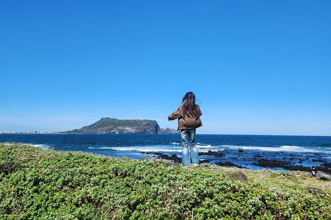 Jeju Western and Southern Routes Sightseeing Day Tour - How the guides affect the experience