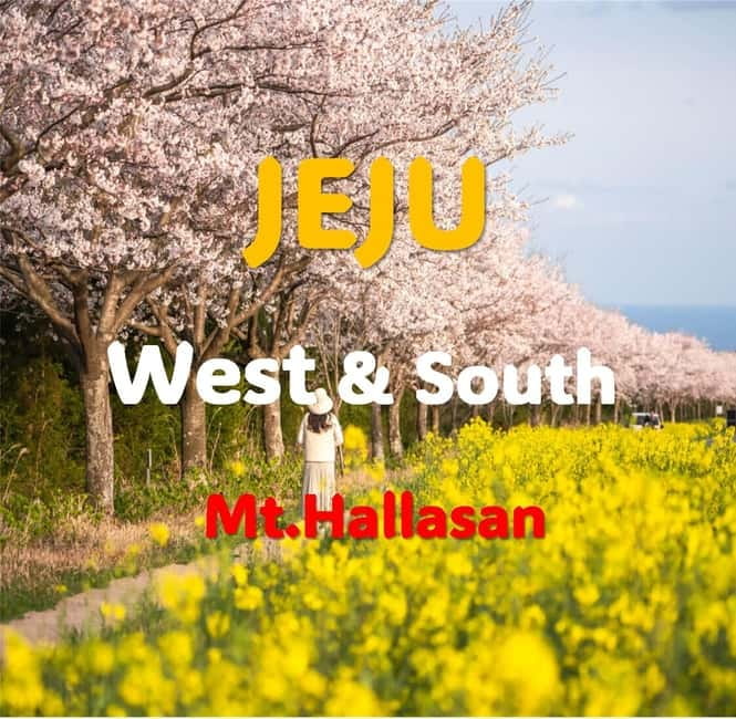 Jeju: Western and Southern Sightseeing Day Tour - O’sulloc Green Tea Field: a calmer hour
