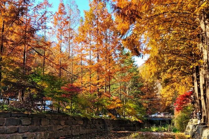 Jeonju Hanok Village Full-Day Tour: Jangtaesan Autumn Foliage - Key points to know before booking