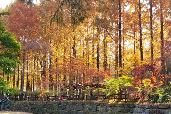 Jeonju Hanok Village Full-Day Tour: Jangtaesan Autumn Foliage - Make lunch part of your Jeonju plan