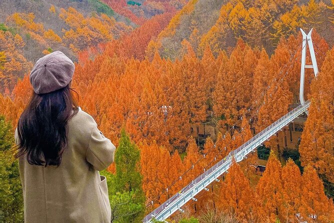 Jeonju Hanok Village Full-Day Tour: Jangtaesan Autumn Foliage - What the long return to Seoul means