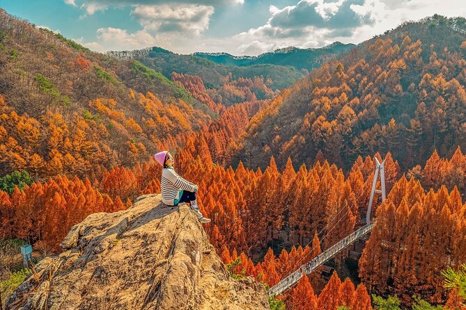 Jeonju Hanok Village Full-Day Tour: Jangtaesan Autumn Foliage - What is included, and what is not