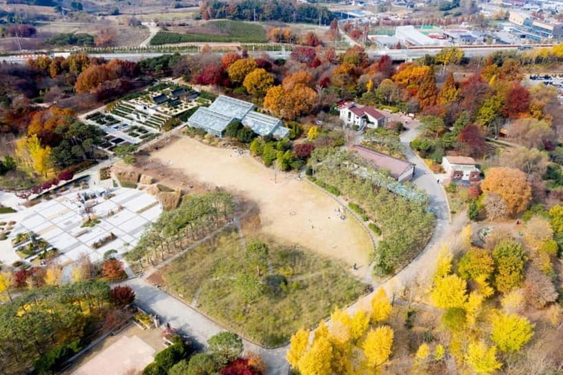 Jeonju: Private Taxi Tour Car Charter - Deokjin Park, Ajung Lake, and the greener side of town