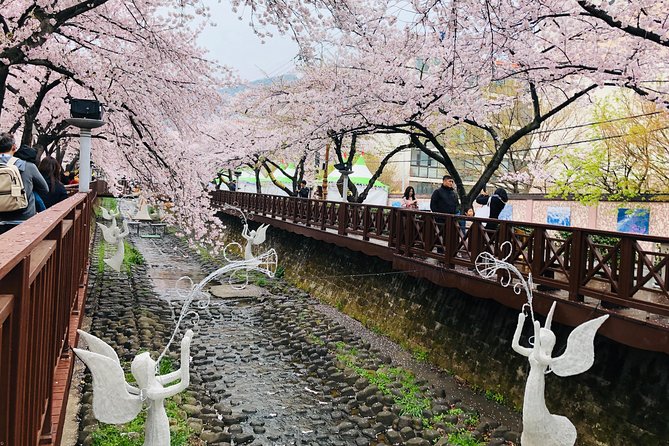 Jinhae Cherry Blossom + Busan Sunrise from Seoul - Why this overnight route works