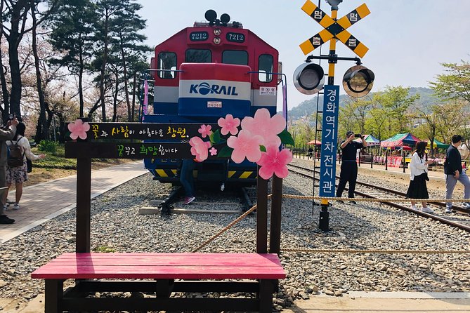 Jinhae Cherry Blossom + Busan Sunrise from Seoul - Who will enjoy this most